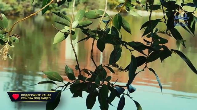 ? Часть 7 Свящ. Антоний - О молитве Иисусовой. #Верую_православие смотреть онлайн