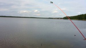 Рыбалка на карася в Тюмени, озеро Лебяжье возле Тараскуля