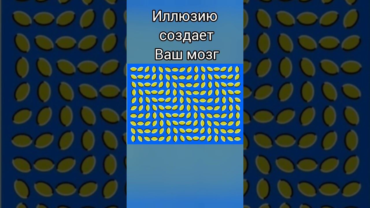 Обман зрения #иллюзии #обман #иллюзия #обманзрения #мозг #врек #хочуврек #тест #интересно #зрение