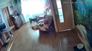 надо похулиганить пока нет никого дома)))