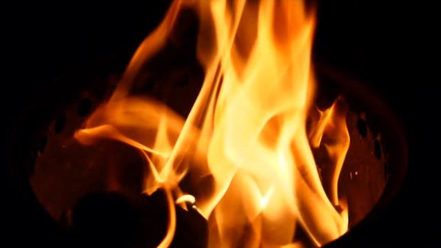 Выпуск 1. Основы выживания. смотреть онлайн