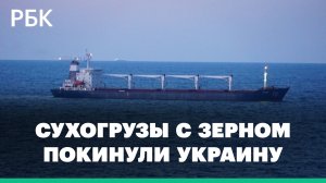 Три сухогруза отправились из Украины в Турцию. Они перевозят около 60 тыс. тонн кукурузы: видео