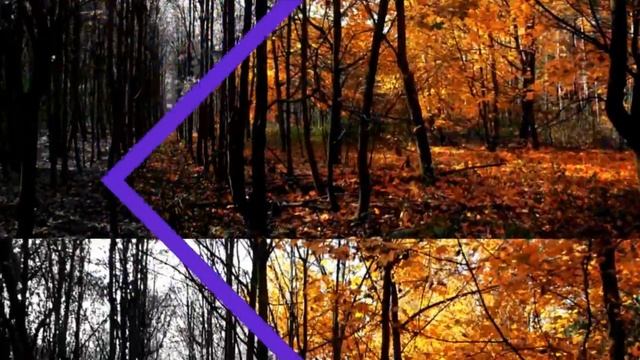 Счастливого ноября, друзья!.mp4 смотреть онлайн