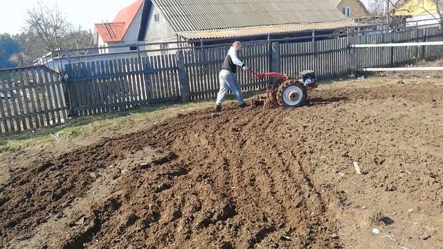 Культивация земли или закрытие влаги мотоблоком МТЗ Беларус-09Н