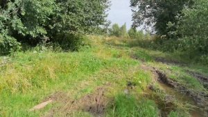 Никитинка. Холм- Жирковский район.