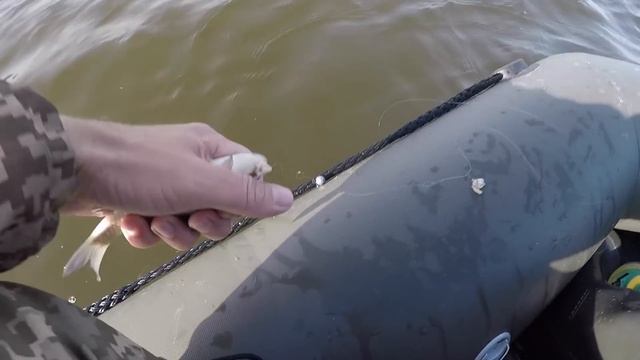 ТАК СКОЛЬКО Я ЖЕ ПОЙМАЛ!?! ОСЕННИЙ ЖОР! РЫБАЛКА С ЛОДКИ!2018 смотреть онлайн