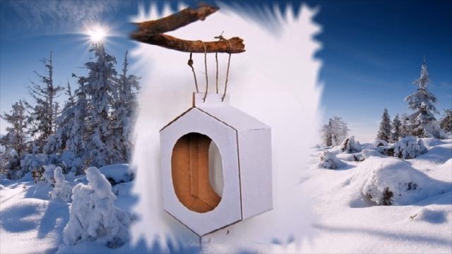 Кормушка для птиц.Варианты кормушек для птиц. Кормушка для птиц своими руками