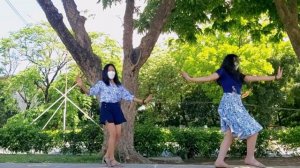 (Samba) Whenever, Wherever by Shakira