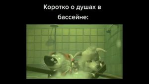 Муд Белка и Стрелка. Сборник #1.(мои видео с тик тока).