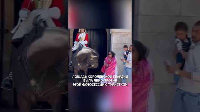 Лошадь Королевской гвардии укусила туристку, когда она позировала рядом для фото / РЕН Новости
