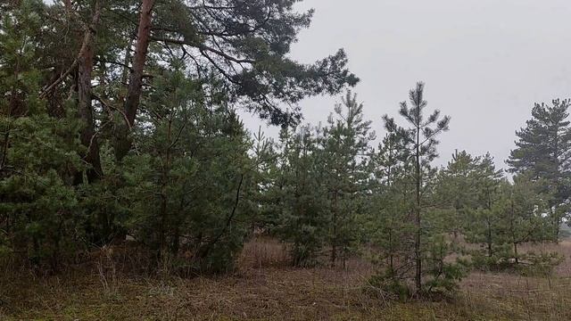 31 декабря канун Нового Года. Народные приметы и традиции. Новый 2022 год . Новогодние приметы.