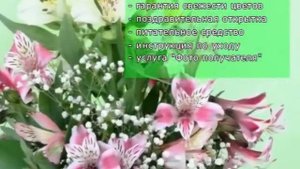 Композиция из альстромерий