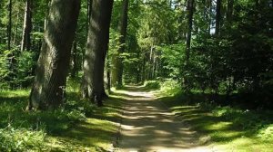 Экскурсия в Пушкинский заповедник в Псковской области