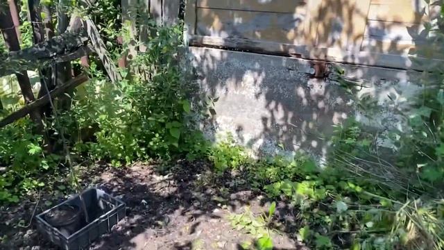 Купили дачу, 2 сезон? Первый урожай? Новая жизнь старых ящиков? Весь день на даче⛱