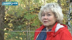 В Кировске и Апатитах на рябине сохнут листья и череют ягоды