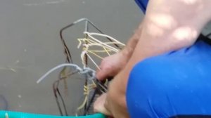 Починка водокачки из насоса "Ручеек"