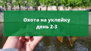 #8 #ультралайт Охота на уклейку. День 2 и 3