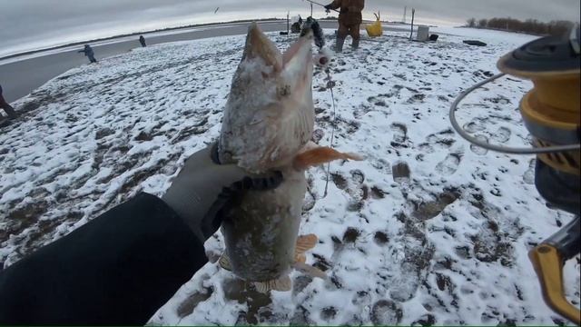 РЫБАЛКА НА САТАНУ!!! ? ?? #клеваярыбалка #югра #сатана #русскаяфишка