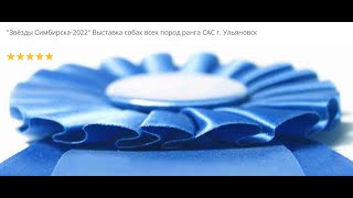 Собачья выставка! смотреть онлайн