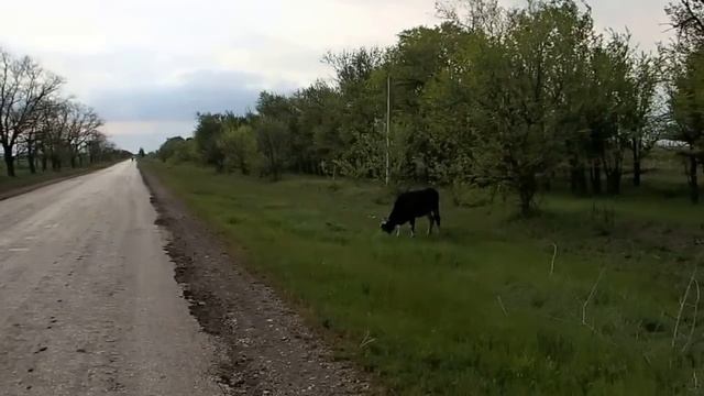 Прогулка на природе-(2), 07.05.2015 смотреть онлайн