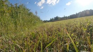 Попадание пули (5.45*39) в землю (Bullet hitting the ground) GoPro Hero 9 1920*1080 240fps