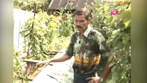 Парник для винограда #urozhainye_gryadki