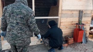 Достраиваем вольер для собак. Будка своими руками. #Наши деревенские дни