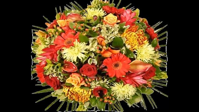 Букеты астр часть 17 смотреть онлайн