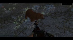 The hunter classic как выполнить миссий Бурого медведя Обзор Гайд!