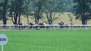 Скачка 7 (лошади трех и старше, 1000 м)