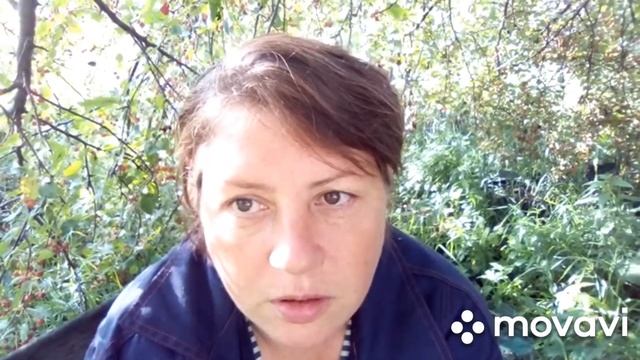 Почему у коровы кислое молоко?