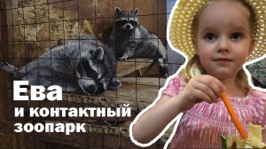 Кормим зверушек в зоопарке.