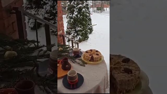 7 ноября 2023 г.