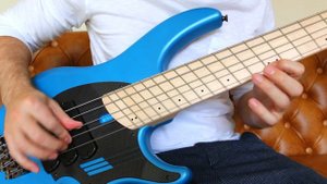 Wellerman (Sea Shanty) | Solo Bass