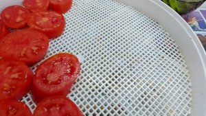 Томатные чипсы и вяленные томаты из КорнабелЯ!!