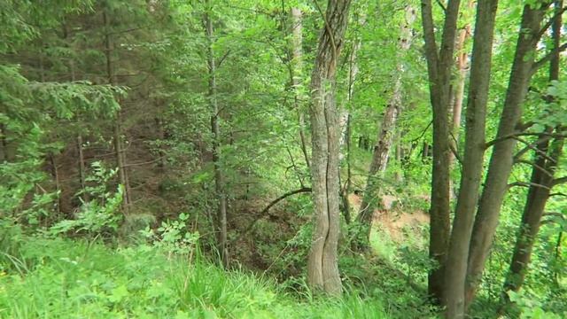 ВЛОГ Пока есть попа, приключения не закончатся 11 июня 2018 смотреть онлайн