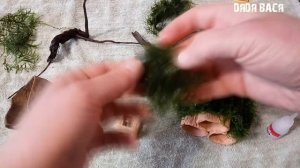 Аквариумный мох. Как  можно прикрепить мох в аквариуме