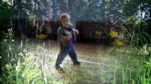 Куст сирени под окном