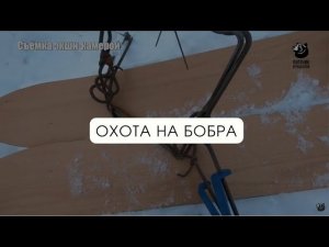 Охота на бобра // В одиночку на зверя