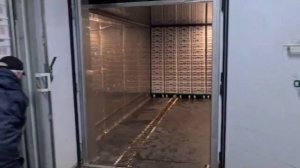 Видео с запуска камеры дефростации мяса и птицы на МК в Барнауле. тестовый запуск партии курицы