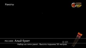 Р011005 Алый букет