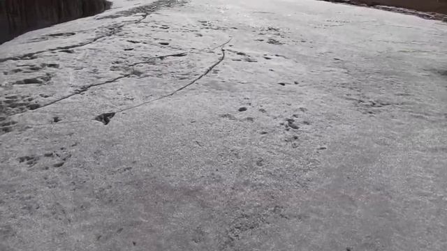 Облизываюсь на брёвна в русле реки Аввакумовка. смотреть онлайн