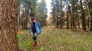 Riding a Bike in "Losiny Ostrov" National Park. Moscow suburbs Balashikha.