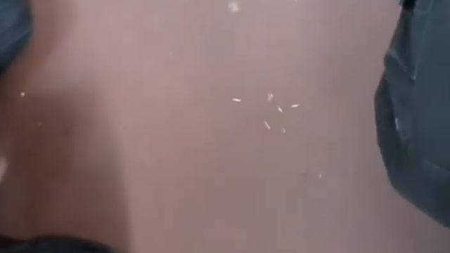 земледельцы_6Б_2_3.avi смотреть онлайн