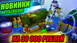 Новинки на рыборазводне на 30000 рублей! Новые аквариумы, рыбки и оборудование!