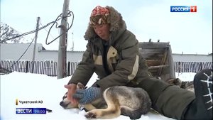 На Чукотке прошла гонка на собачьих упряжках