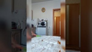 Рулет из лаваша с красной рыбой, творожным сыром и огурцом.