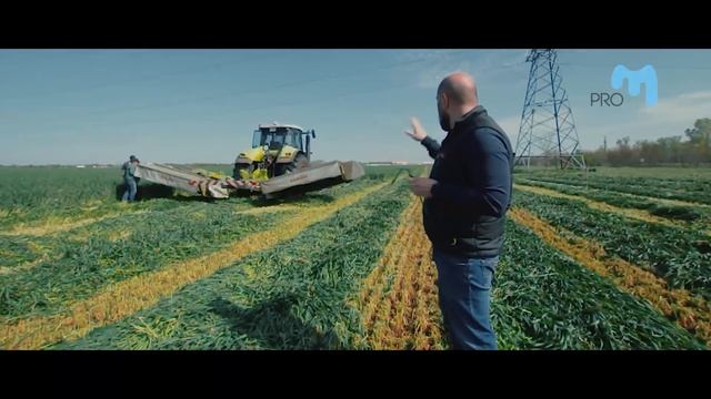 Заготовка сенажа. Сенаж из люцерны и тритикале. Весь процесс за 5 дней!