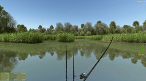 Линь золотой, 6,305 кг, Заброшенный пруд, игра Трофейная рыбалка 2