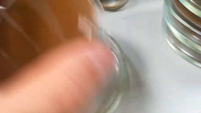 Рост на агаре смотреть онлайн